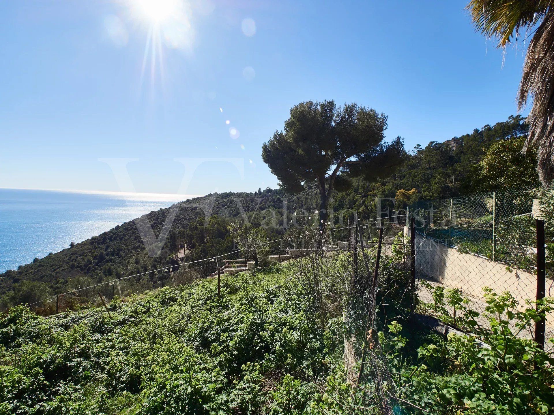 Sale Buildable land 1044&nbsp;m² Èze